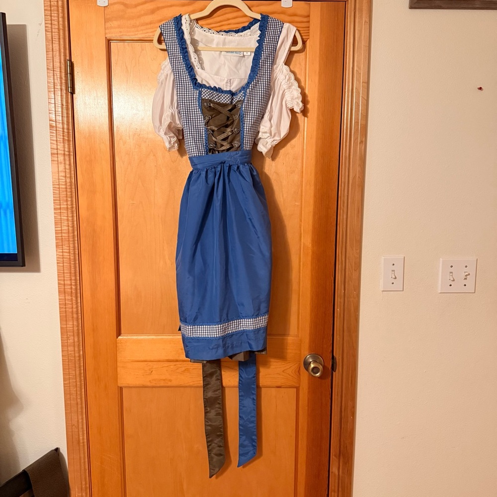 Blue and Brown Dirndl with blouse